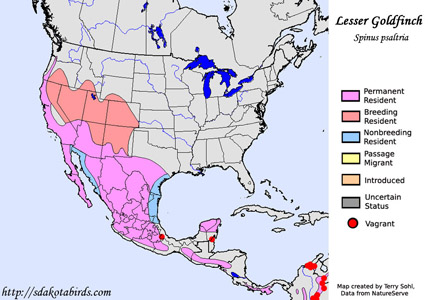 Lesser Goldfinch - North American Range Map