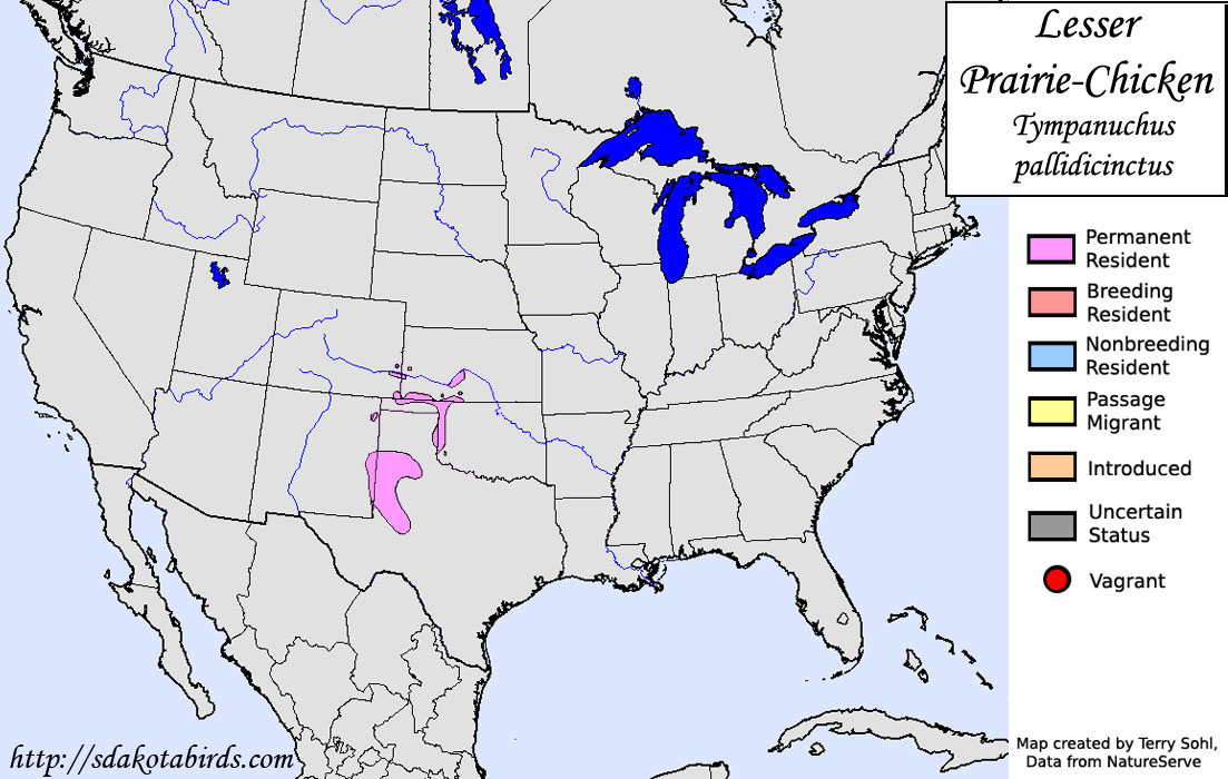 Lesser Prairie Chicken - North American Range Map