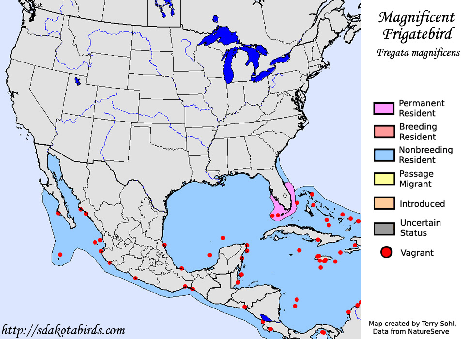 Magnificent Frigatebird - Range map