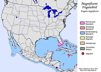 Magnificent Frigatebird - Ragne Map