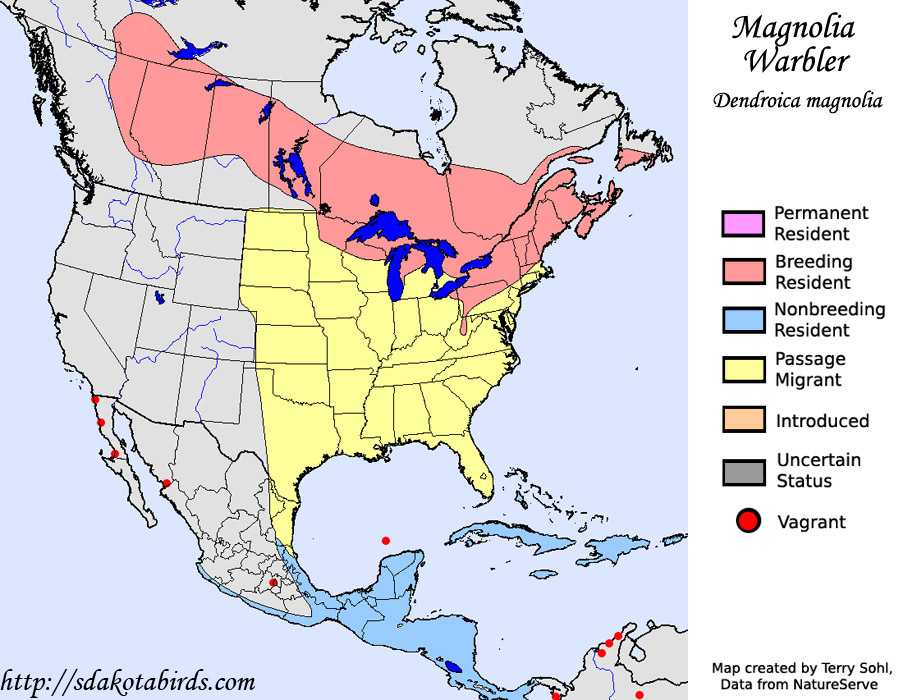 Magnolia Warbler - Range Map