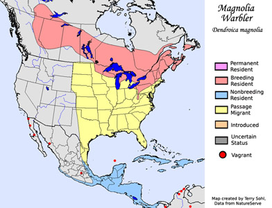 Magnolia Warbler - Range map