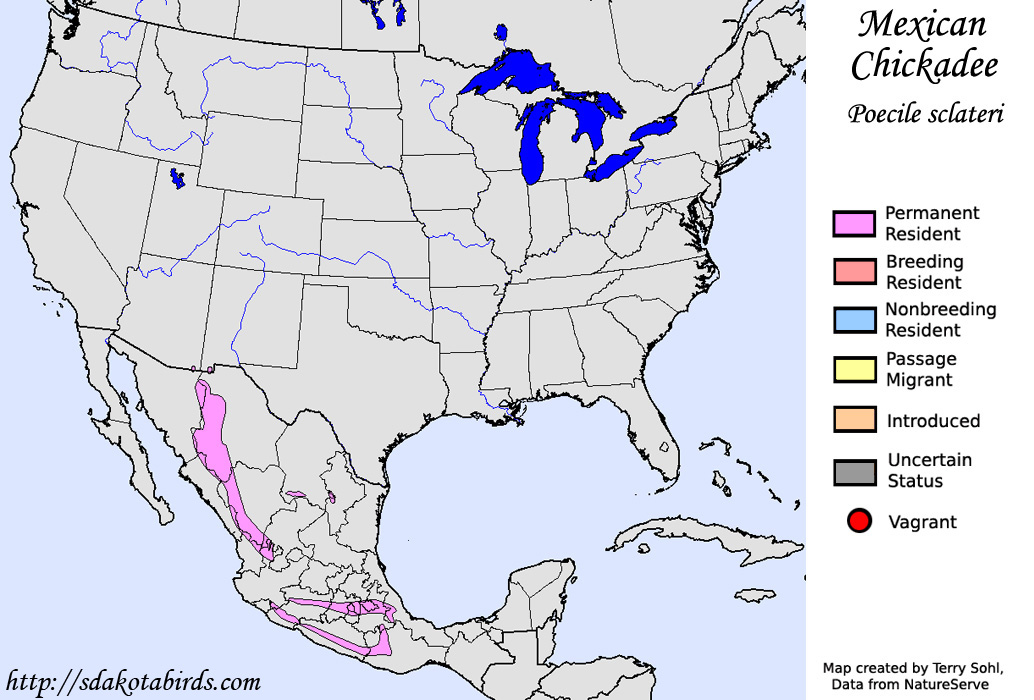 Mexican Chickadee - North American Range Map
