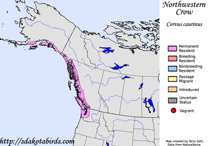 Northwestern Crow - Range Map