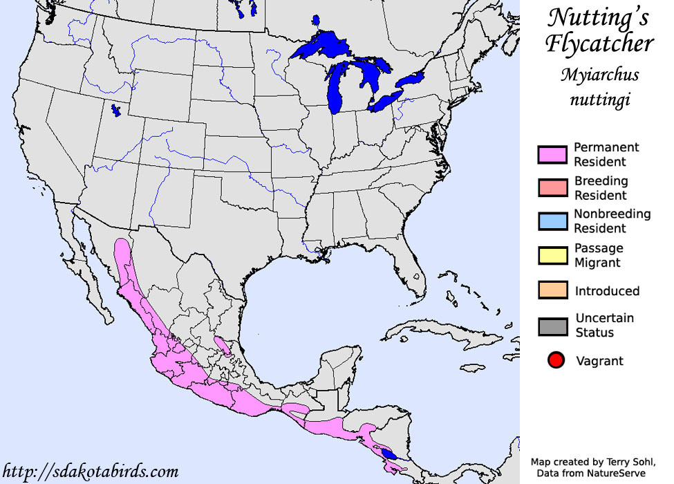 Nutting's Flycatcher - North American Range Map