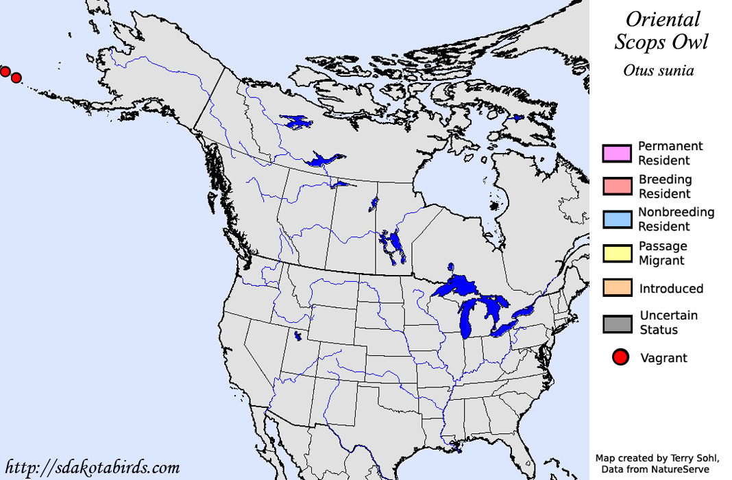 Oriental Scops Owl - North American Range Map
