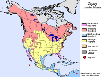 Osprey - Pandion halietus - Range Map