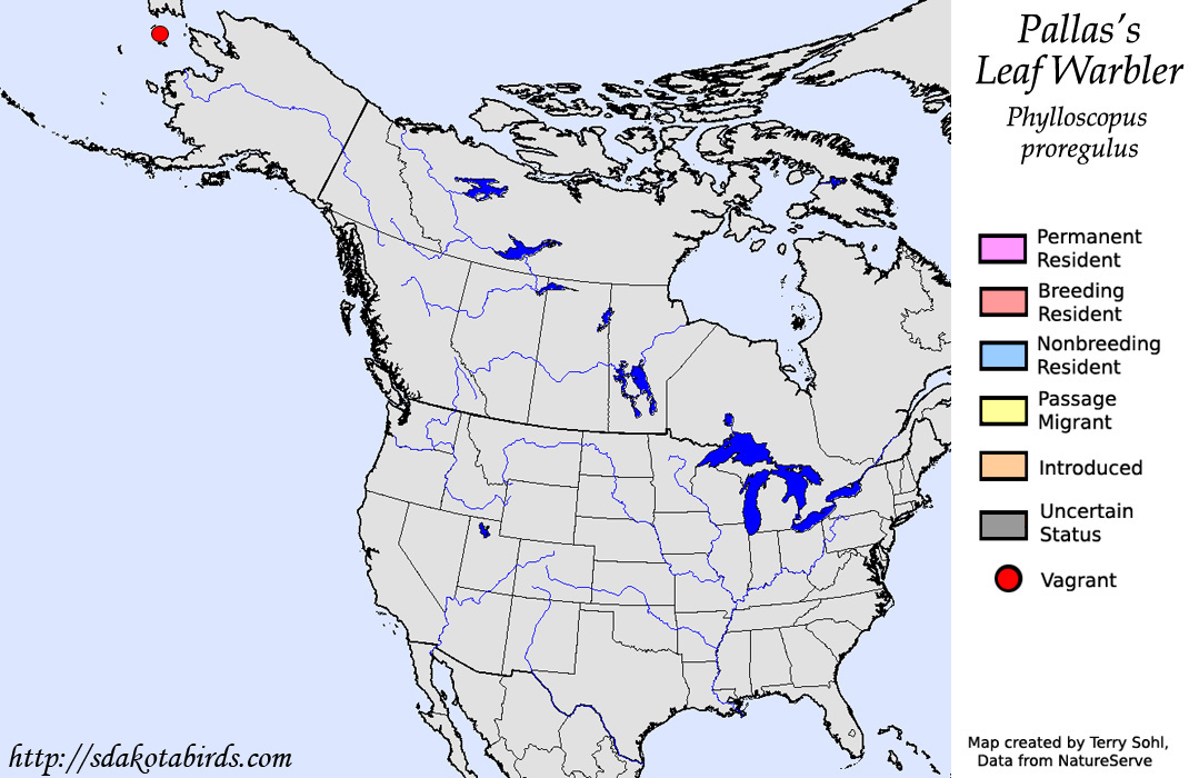 North American Range Map - Pallas's Leaf Warbler