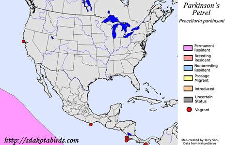 Parkinson's (Black) Petrel - North American Range Map