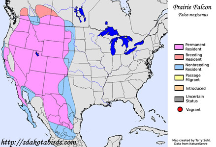 Prairie Falcon - Range Map