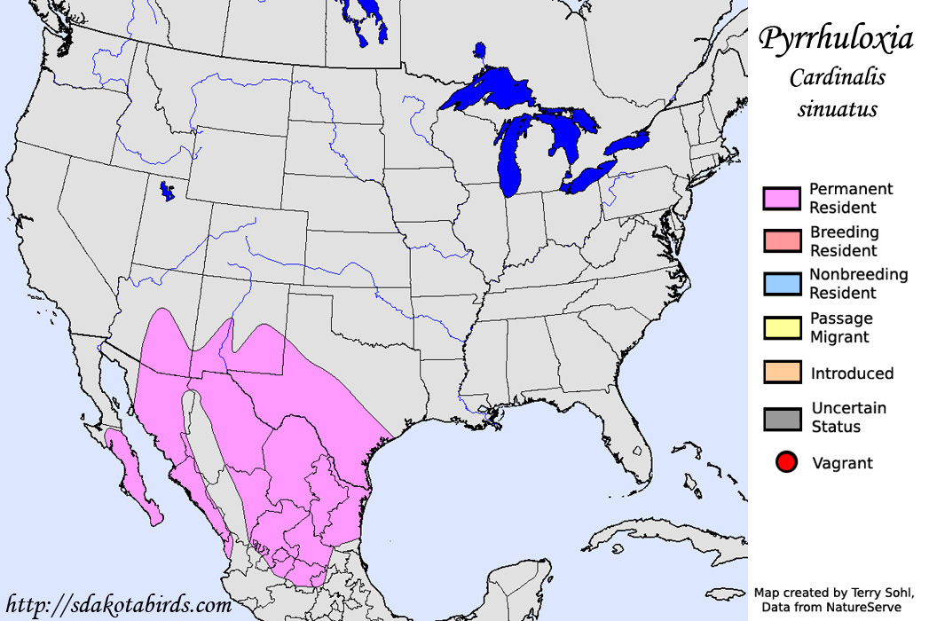 Pyrrhuloxia - North American Range Map