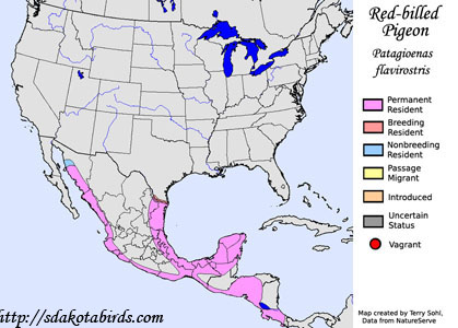 Red-billed Pigeon - Range Map