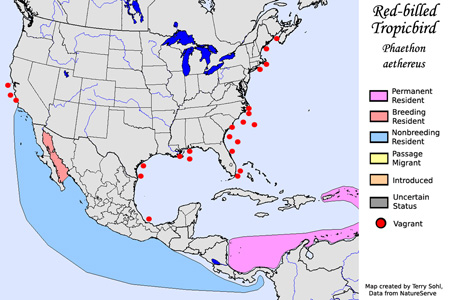 Red-billed Tropicbird - Range Map