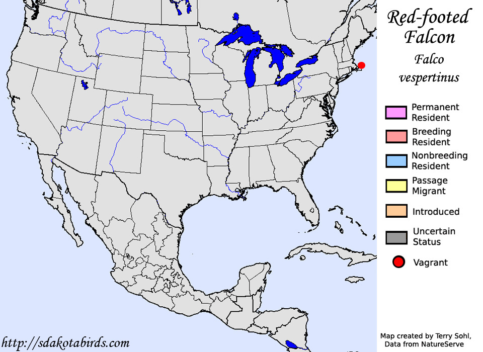 Red-footed Falcon - North American Range Map