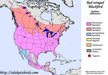 Red-winged Blackbird - Species Range Map