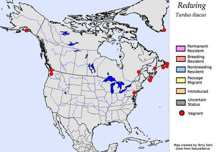 Redwing - Range Map