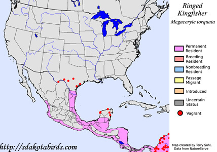 Ringed Kingfisher - Range Map