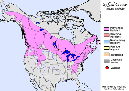 Ruffed Grouse - Range Map
