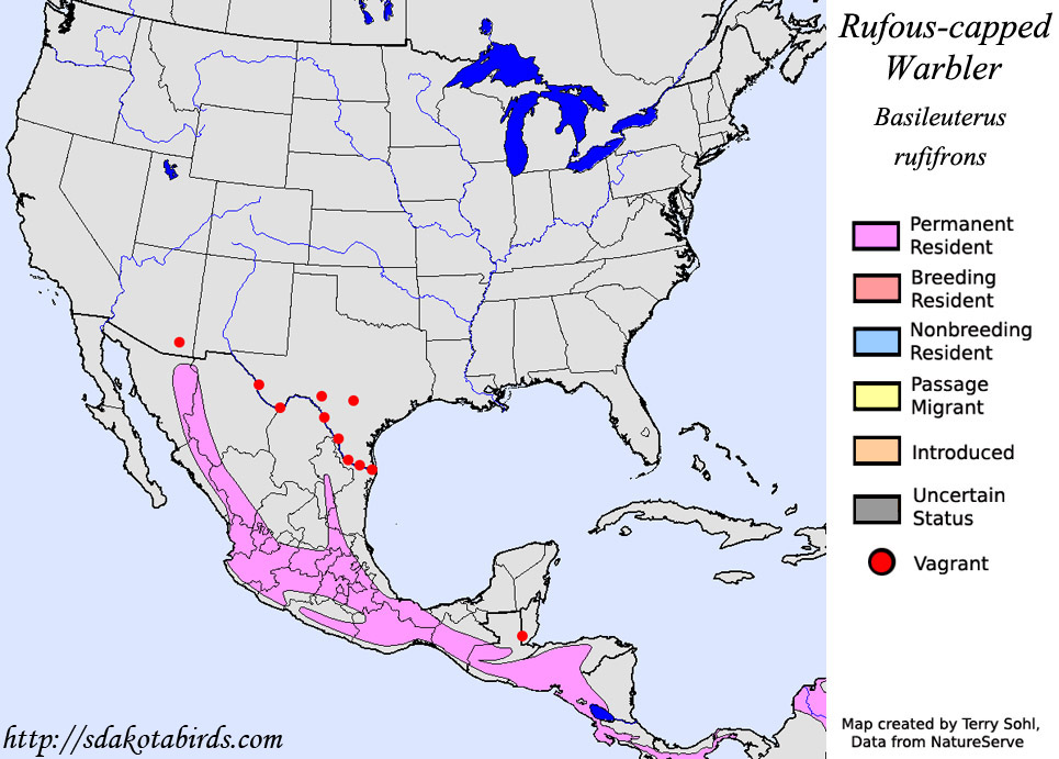 Rufous-capped Warbler - North American Range Map