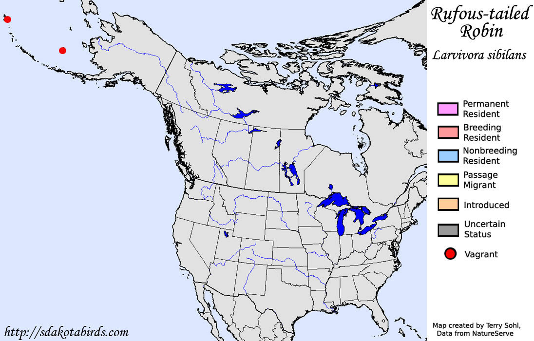 Rufous-tailed Robin - North American Range Map