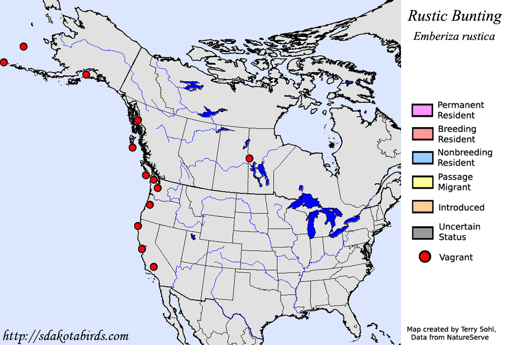 Rustic Bunting - North American Range Map