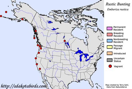 Rustic Bunting - Range Map