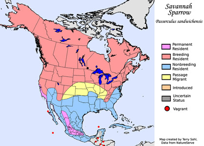 Savannah Sparrow - Range Map