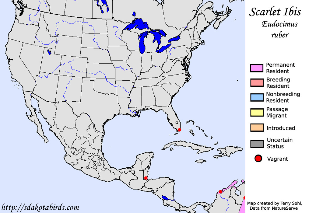 Scarlet Ibis - North American Range Map
