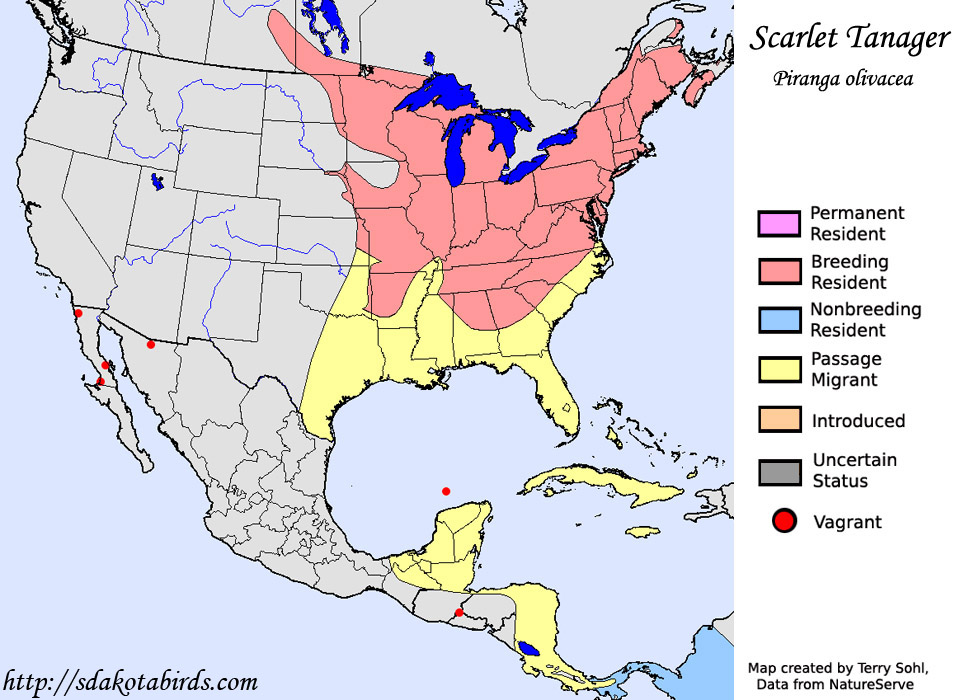 Scarlet Tanager Species Range Map