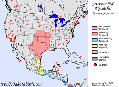 Scissor-tailed Flycatcher - Range Map