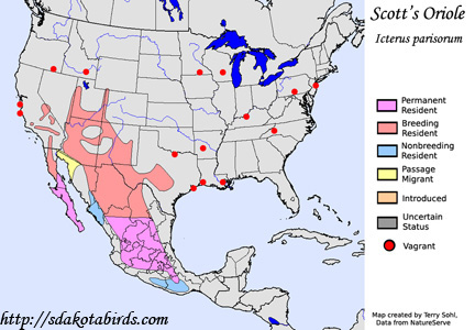 Scott's Oriole - Range Map