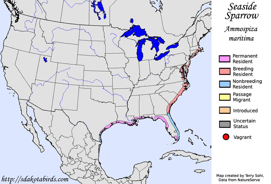 Seaside Sparrow -  North American Range Map