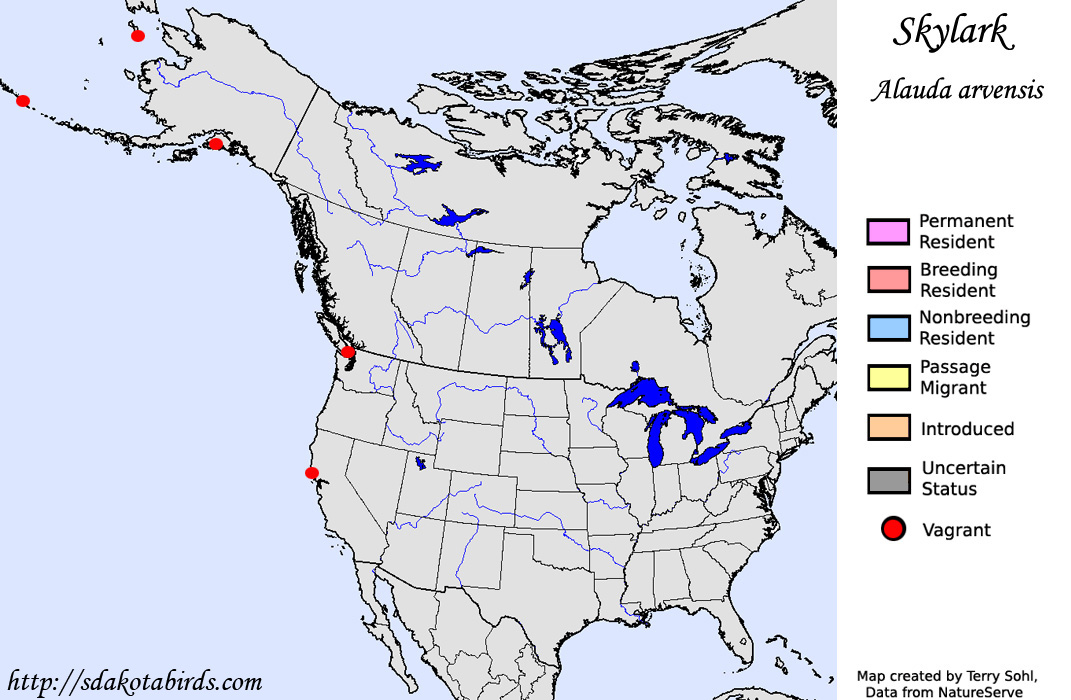 Eurasian Skylark - North American Range Map