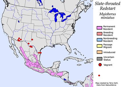 Slate-throated Redstart - Range Map
