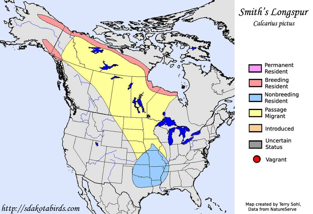 Smith's Longspur - Range Map