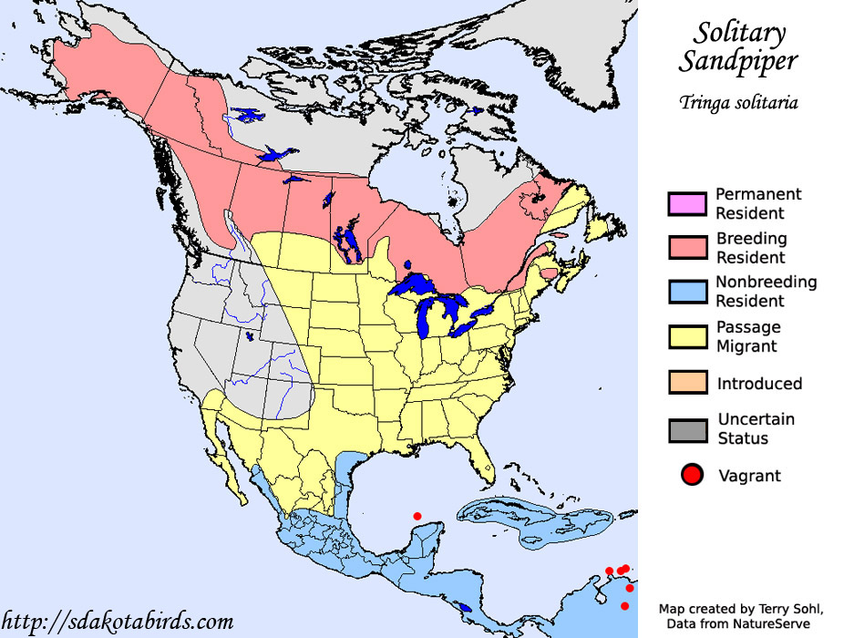 Solitary Sandpiper - Range Map
