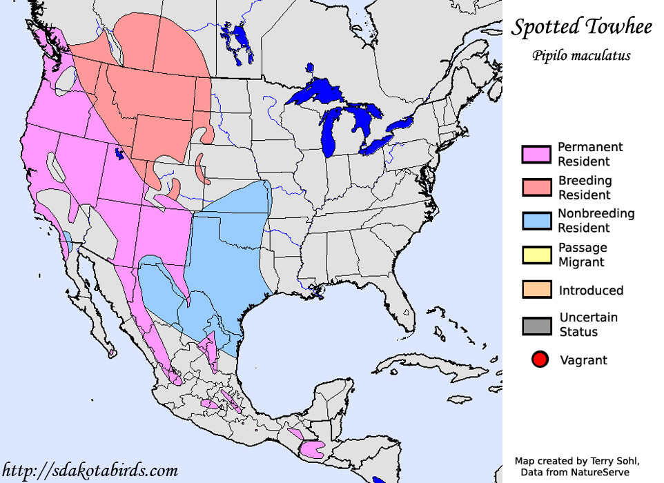Spotted Towhee - Range Map