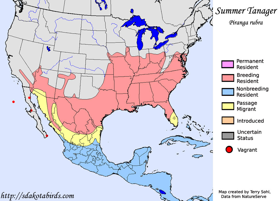 Summer Tanager - Range Map