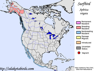 Surfbird - Range Map