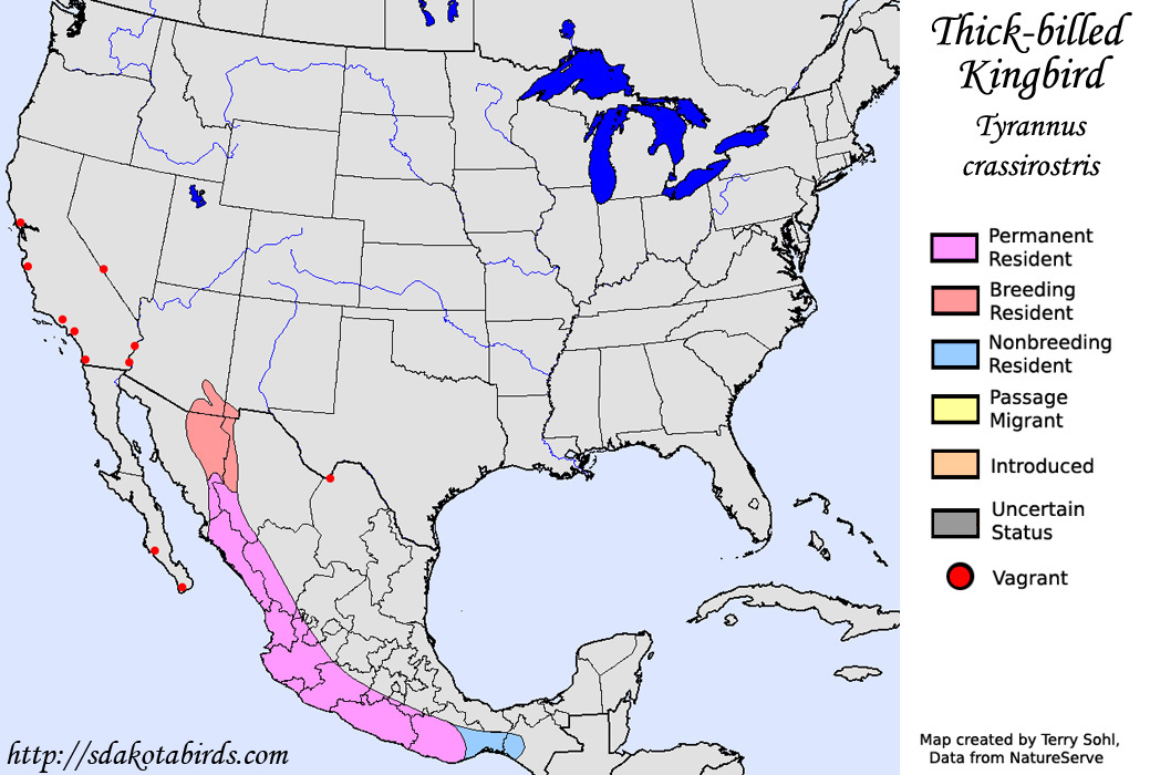 Thick-billed Kingbird - North American Range Map