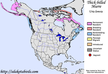 Thick-billed Murre - Range Map