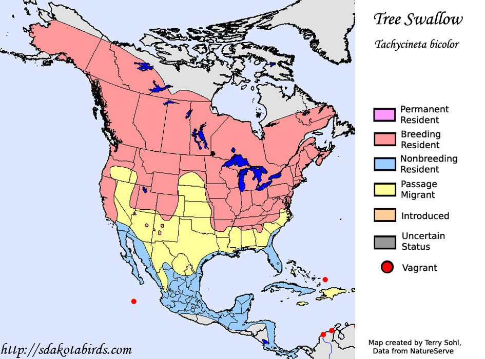 Tree Swallow - Range Map