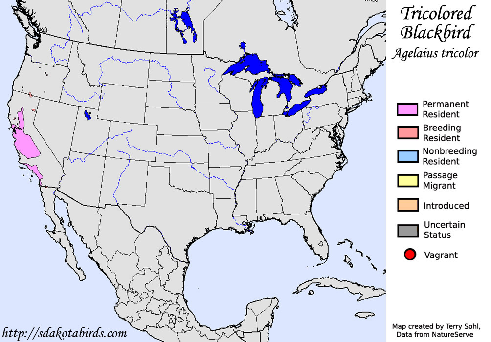 Tricolored Blackbird - North American Range Map