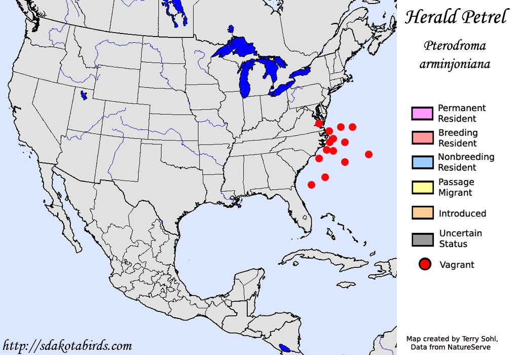 Herald Petrel - North American Range Map