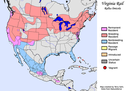 Range Map - Virginia Rail