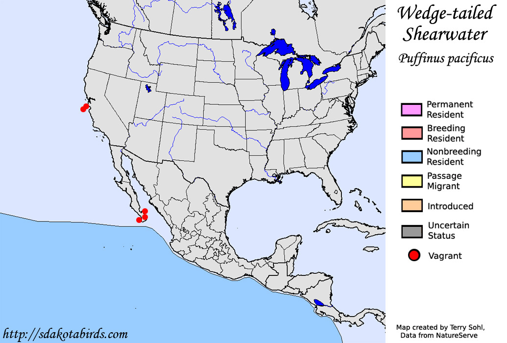 Wedge-tailed Shearwater - North American Range Map