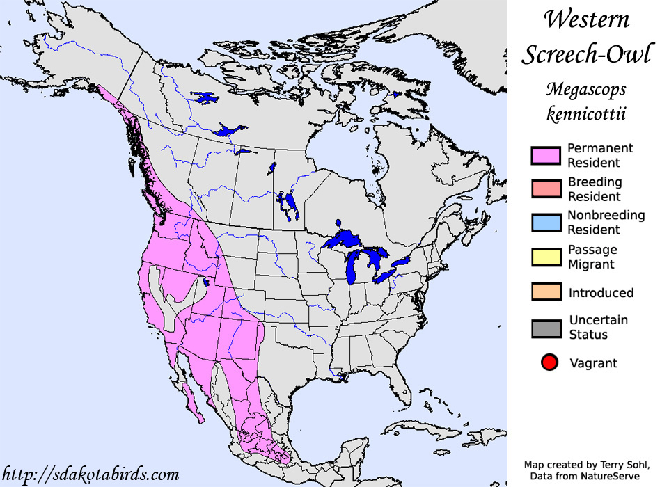 Western Screech-Owl - North American Range Map