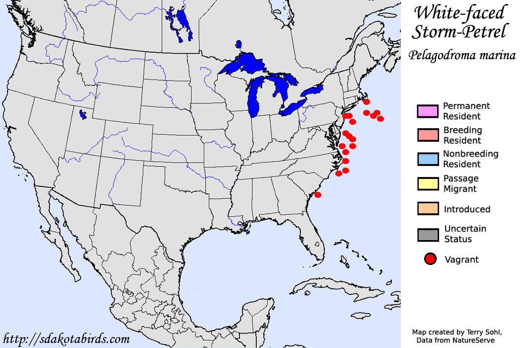 White-faced Storm-Petrel - North American Range Map