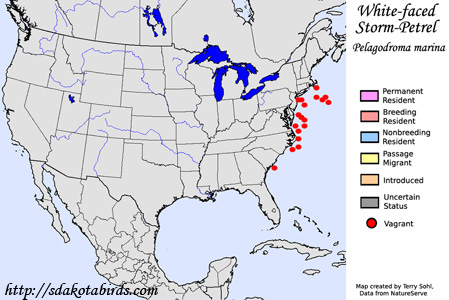 White-faced Storm-Petrel - Range Map