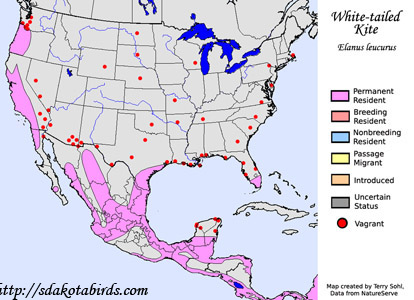 White-tailed Kite - Range Map